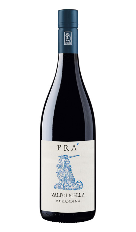 Valpolicella Morandina 2024 Graziano Prà