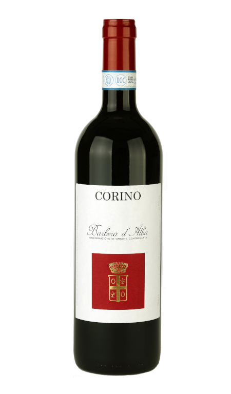 Barbera d’Alba 2023 Corino Giovanni
