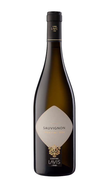 Sauvignon Trentino 2024 La Vis