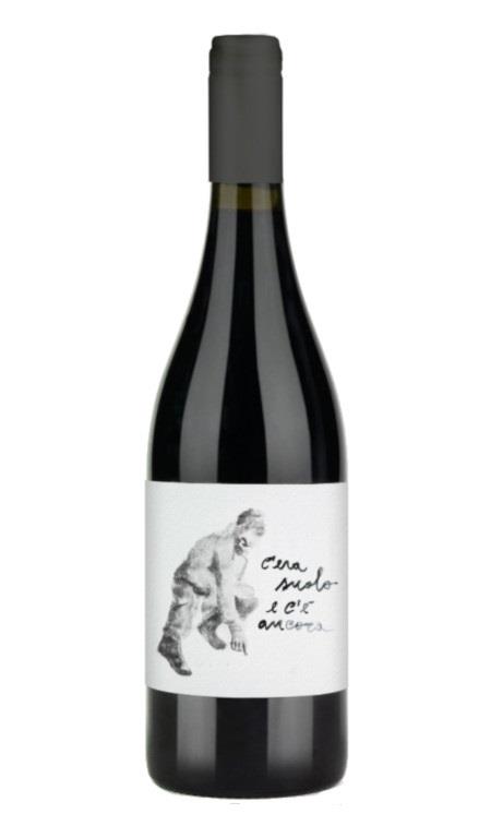 Pollino Terre di Cosenza Dop 2019 Calabrese Giuseppe