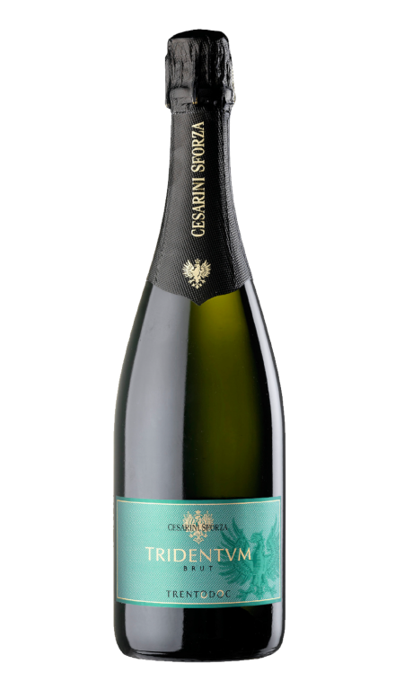 Spumante Metodo Classico Trento Tridentum Brut Millesimato 2021 Cesarini Sforza