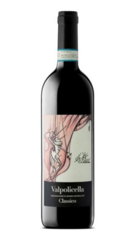 Valpolicella Classico Doc Il Re Pazzo 2023 Terre di Leone