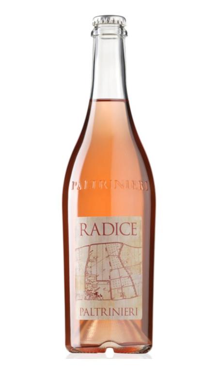Lambrusco di Sorbara Doc Radice 2024 Paltrinieri