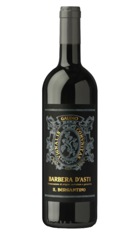 Barbera d’Asti Il Bergantino Docg 2020 Gaudio