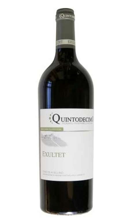 Fiano di Avellino Exultet 2023 Quintodecimo