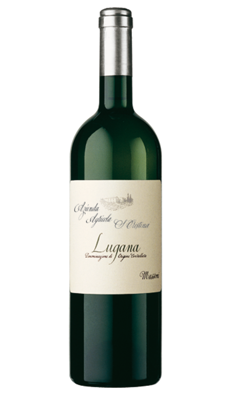 Lugana Santa Cristina 2024 Zenato