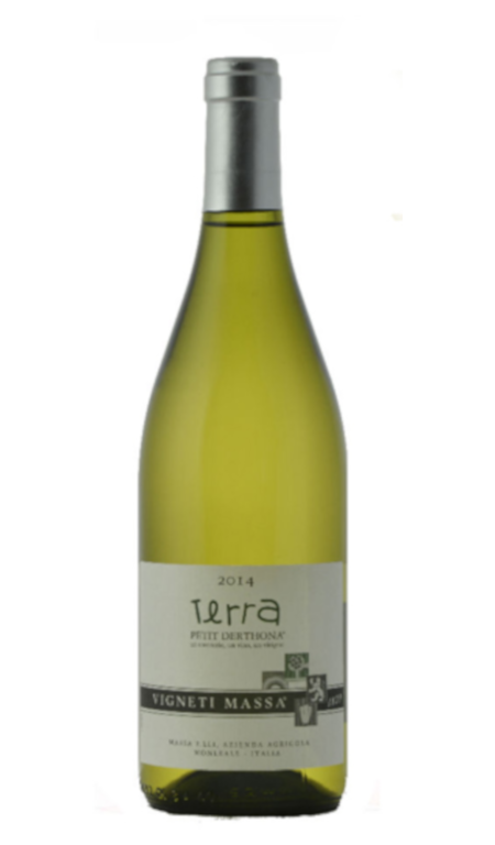 Piccolo Derthona 2023 Vigneti Massa