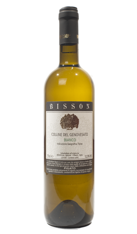 Pigato Colline del Genovesato 2023 Bisson