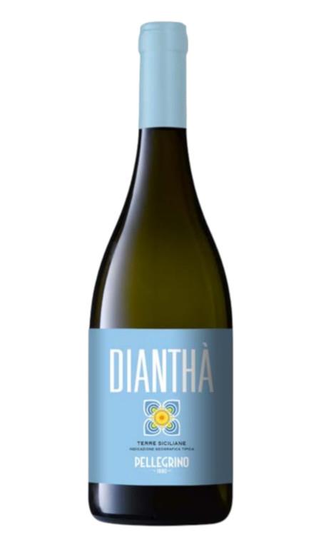 Dianthà Bianco 2025 Pellegrino
