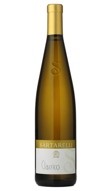 Verdicchio dei Castelli di Jesi Classico 2023 Sartarelli