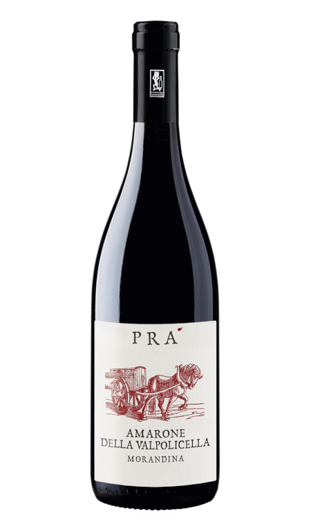 Amarone della Valpolicella Morandina 2018 Graziano Prà